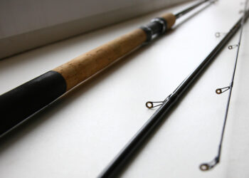 Матчевая ловля